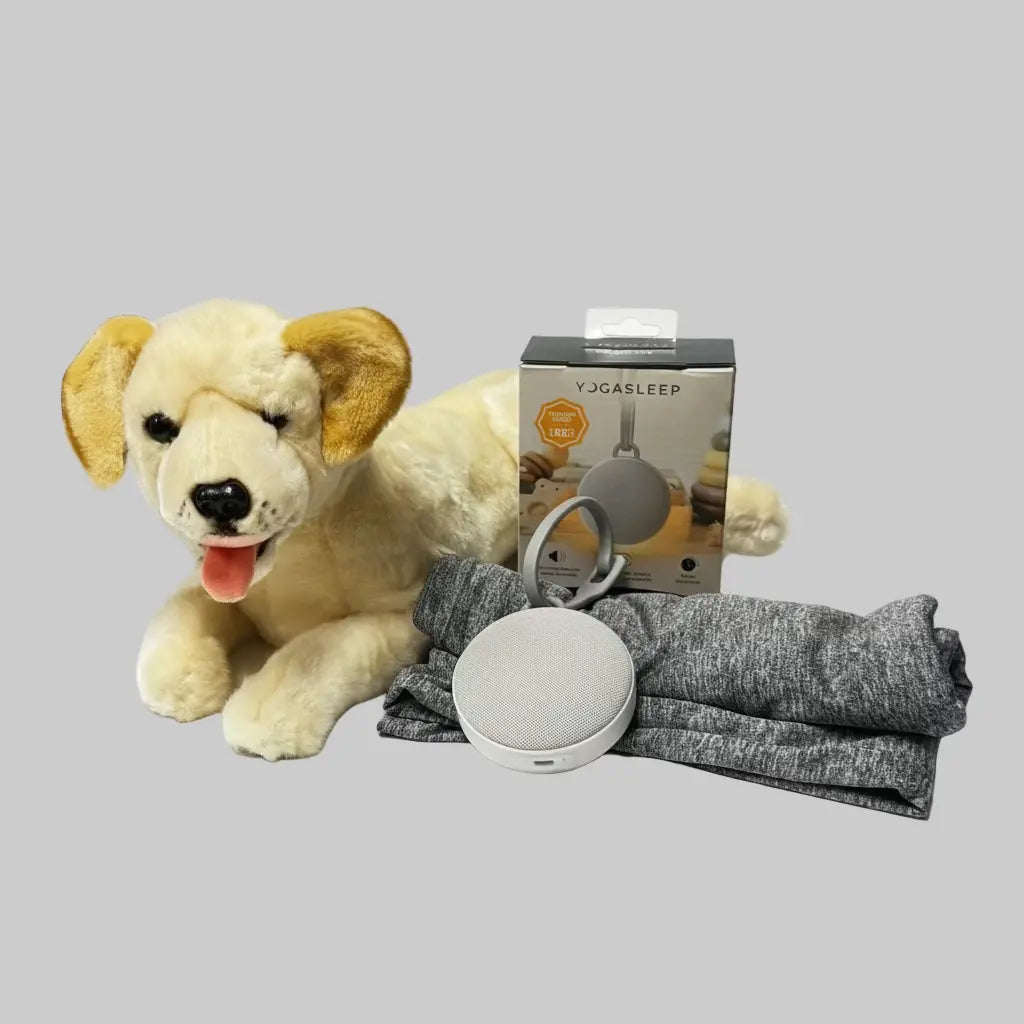 Sensory Corner Travel Ease Buddy Set