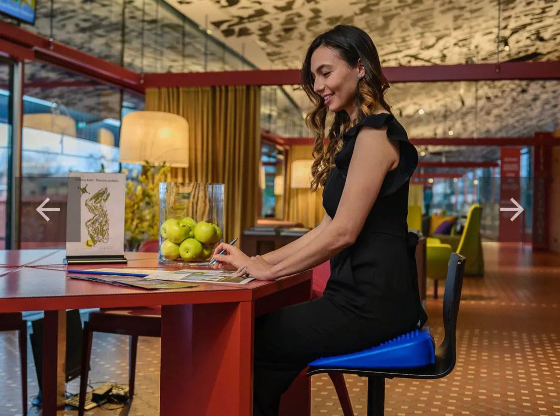 Gymnic Balance/Posture Movin' sit (Senior)