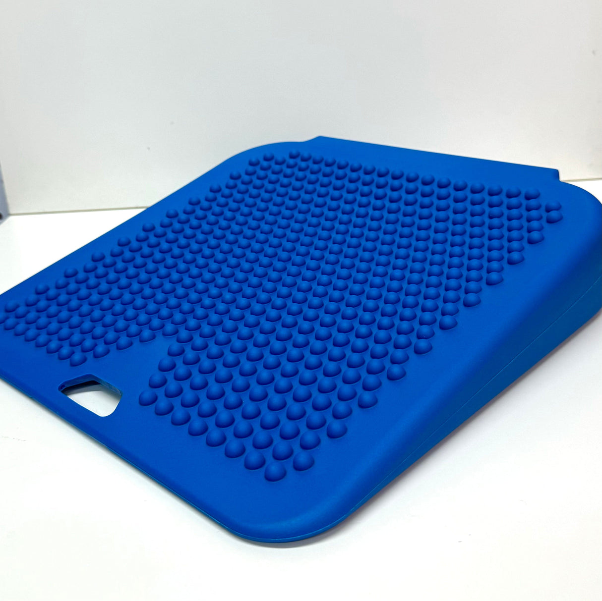 Gymnic Balance/Posture No Cover Movin' sit (Senior)