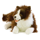 Weighted Dog Border Collie Brown 3.5kg - Sensory Corner