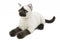 Weighted Cat (Siamese) - Sensory Corner