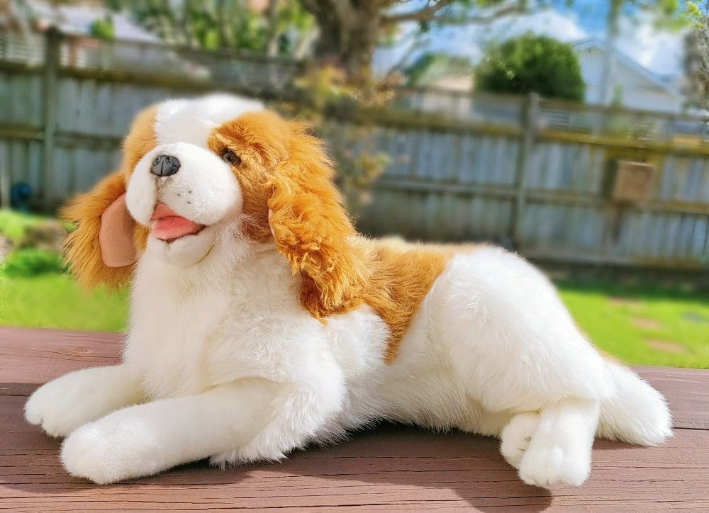 Bocchetta Weighted/ Pressure Weighted Dog King Charles brown 2kg