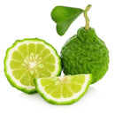 Essential Oils of NZ Smell Essential Oils (10ml, 50ml &100ml)