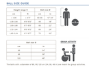 Gymnic Gross Motor Physio Balls