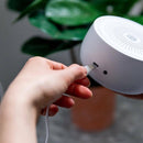 Little Bird Brands Sound Dreamcenter