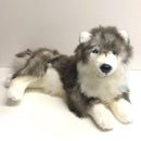 Sensory Corner Sensory Packages Husky Dog Sensory Calming Kit