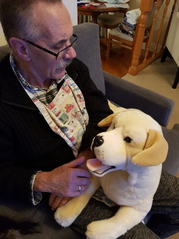 vendor-unknown Weighted/ Pressure Weighted Dog (Golden Labrador 4kg)