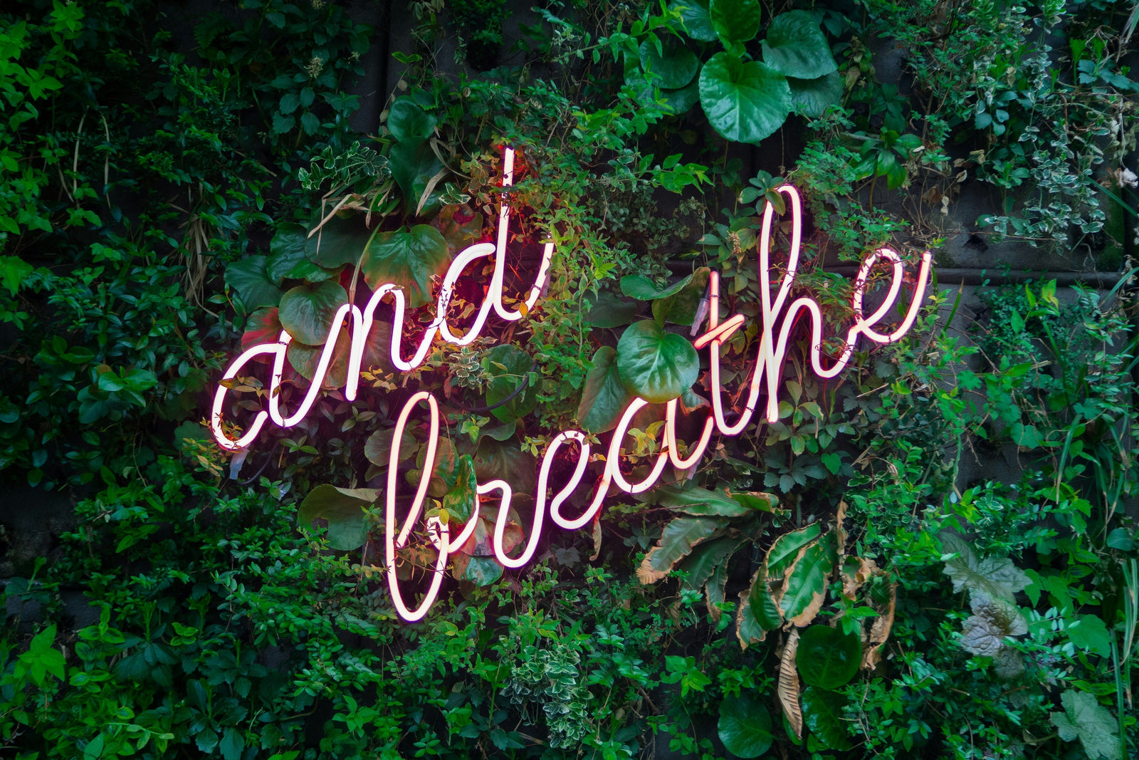 Plant wall image with text And Breathe