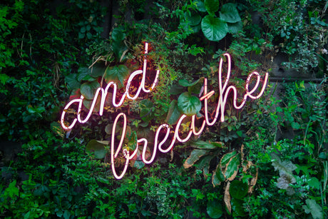 Plant wall image with text And Breathe