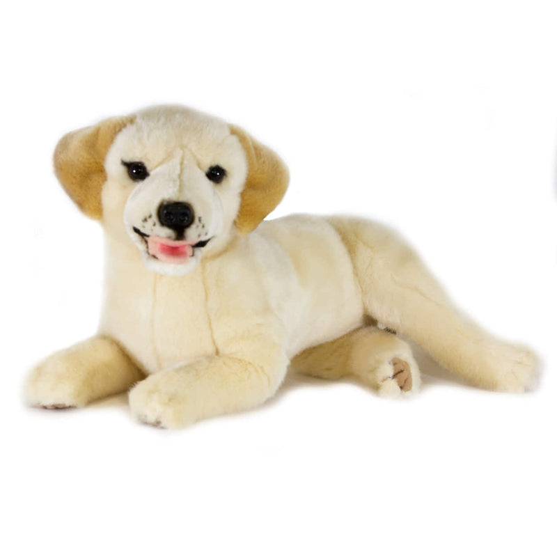 Sensory Corner - golden labrador 1.8kg