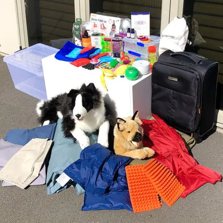 vendor-unknown Weighted/ Pressure Sensory Starter Kit