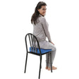 Gymnic Balance/Posture Movin' sit (Senior)