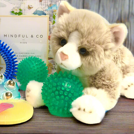 Sensory Corner Calming Kits Mindful Kit + Cat Mindful Calming Kit