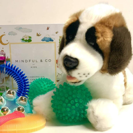 Sensory Corner Calming Kits Mindful Kit + Dog Mindful Calming Kit