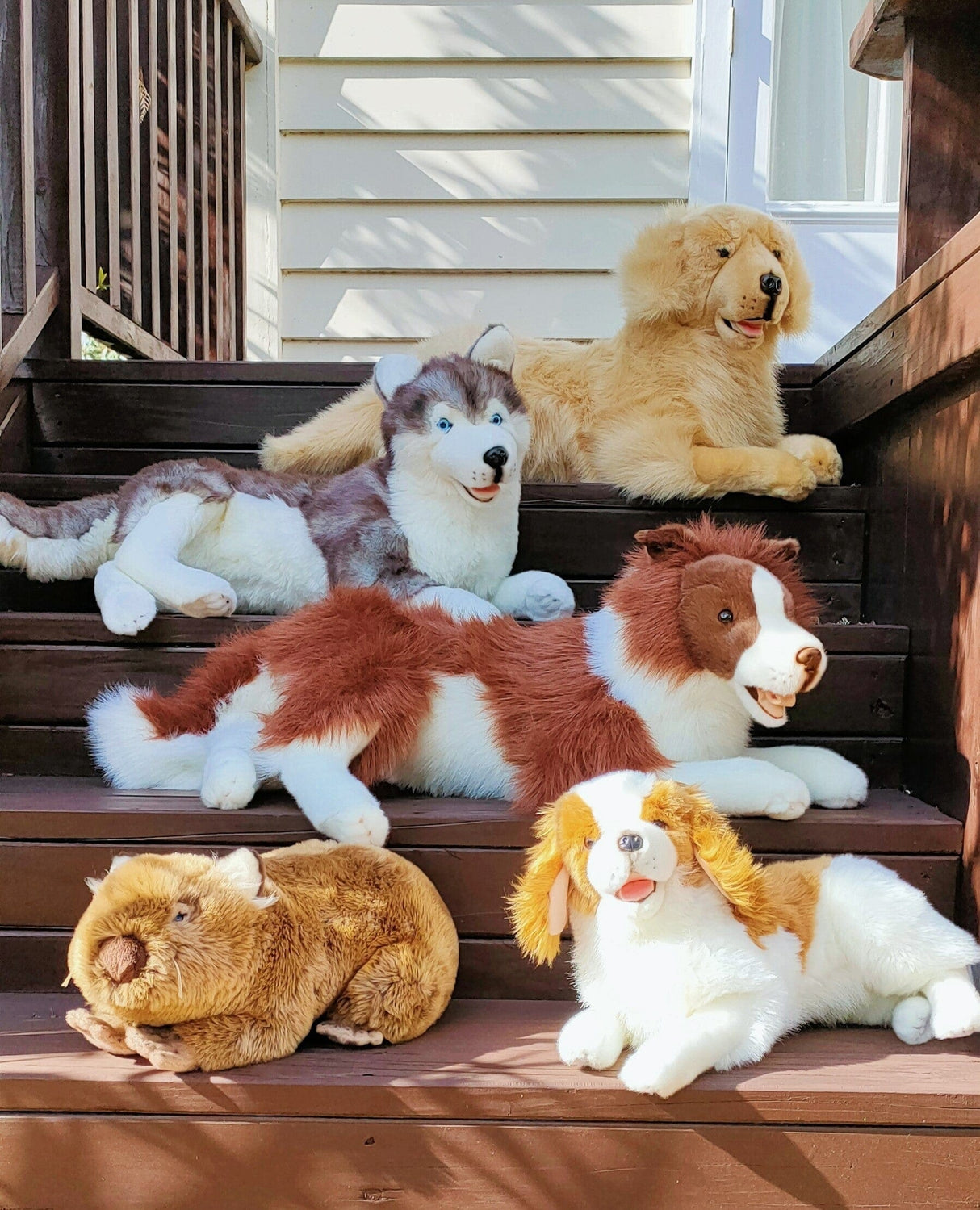 Sensory Corner Sensory Packages Sensory Calming Kit