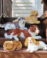 Sensory Corner Sensory Packages Sensory Calming Kit