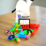 vendor-unknown Fine Motor Traveler Fidget Kit