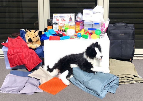 vendor-unknown Weighted/ Pressure Sensory Starter Kit