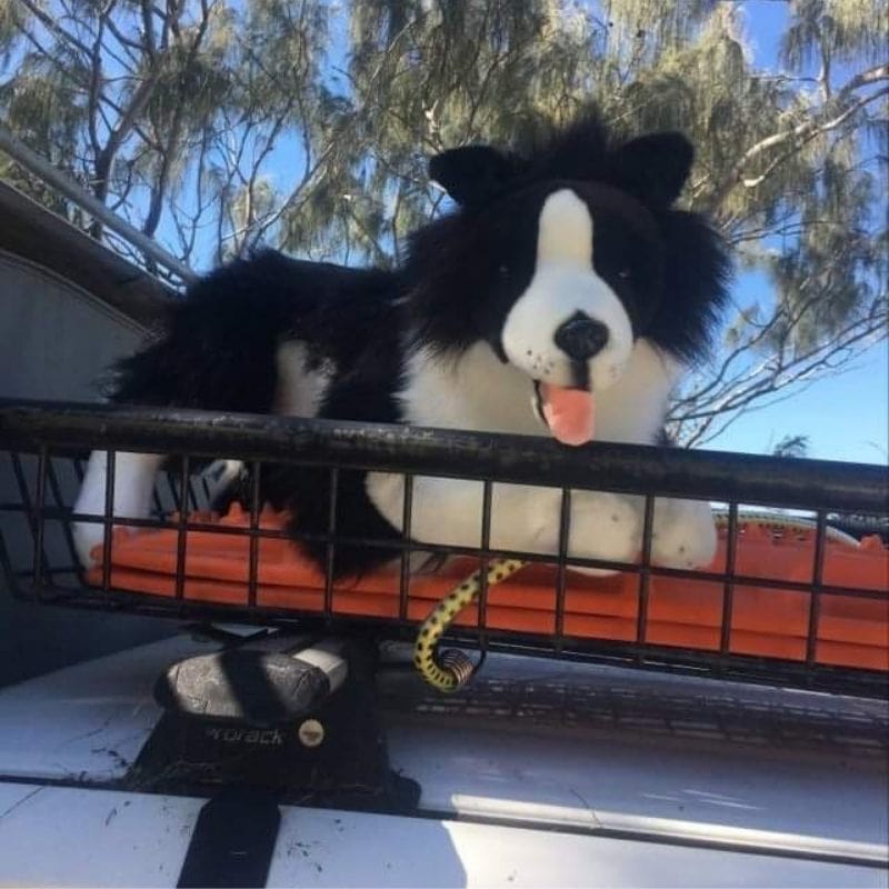 Weighted Dog Border Collie 3.5kg - Sensory Corner