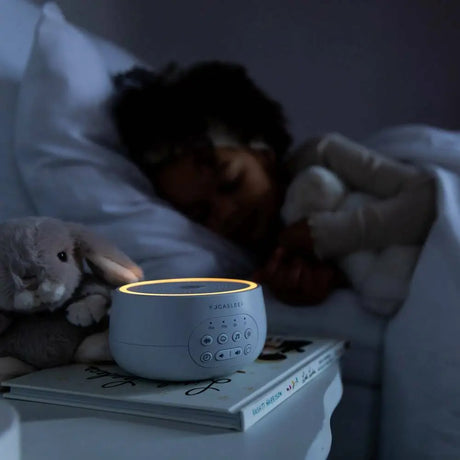 Little Bird Brands Sound Dreamcenter