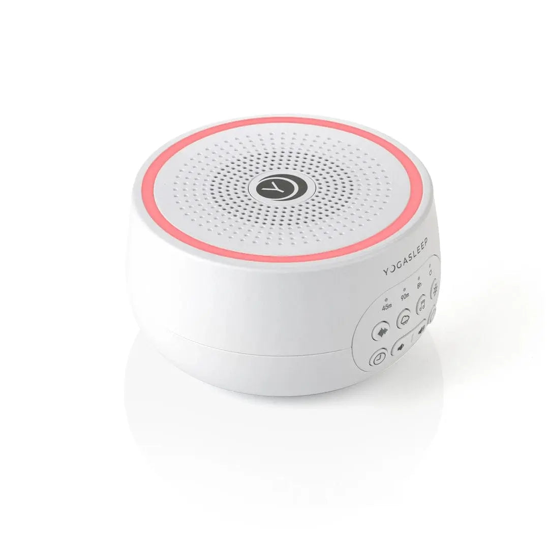 Little Bird Brands Sound Dreamcenter