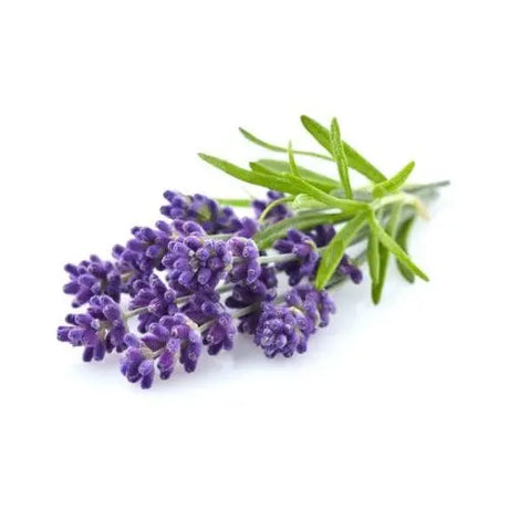 Essential Oils of NZ Smell Essential Oils (10ml, 50ml &100ml)
