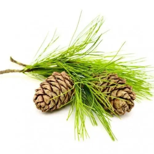 Essential Oils of NZ Smell Essential Oils (10ml, 50ml &100ml)