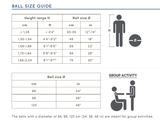 Gymnic Gross Motor Physio Balls