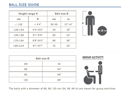 Gymnic Gross Motor Physio Balls