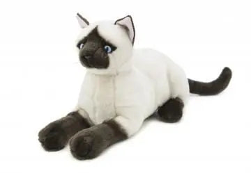 Sensory Corner Sensory Packages Siamese Cat Sensory Calming Kit