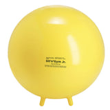 Gymnic Balance/Posture 45cm Sit 'n' Gym Junior