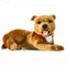 Staffy-Brown-weighted-dog-1.8kg-sensory corner