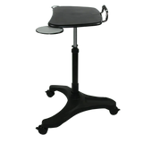 Sylex Ergonomics New Zealand Upanatom Mobile Laptop Sit Stand Desk