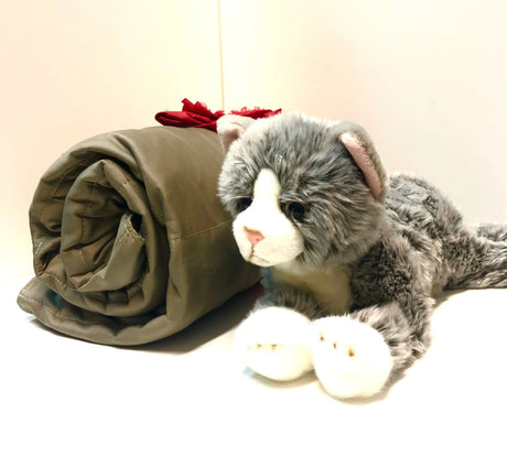 Sensory Corner Sensory Packages Grey Cat Weighted Blanket Buddy Set