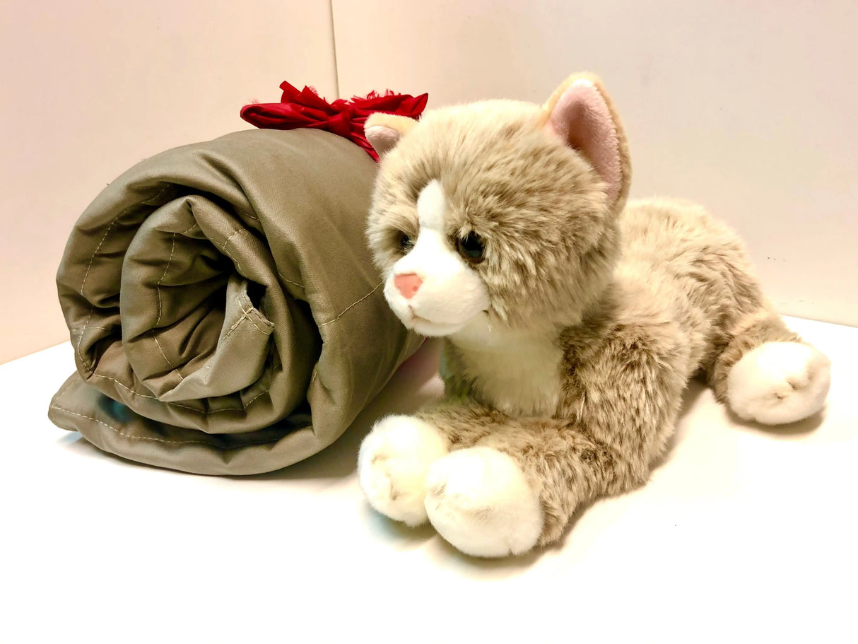 Sensory Corner Sensory Packages Beige Cat Weighted Blanket Buddy Set