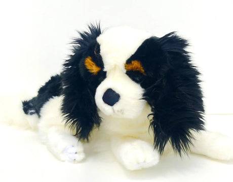 Bocchetta Weighted/ Pressure Weighted Dog King Charles Black 2kg