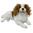 Bocchetta Weighted/ Pressure Weighted Dog King Charles brown 2kg