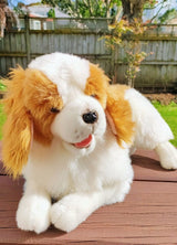 Bocchetta Weighted/ Pressure Weighted Dog King Charles brown 2kg