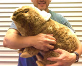 Bocchetta Weighted/ Pressure Weighted Wombat Extra Large 5kg