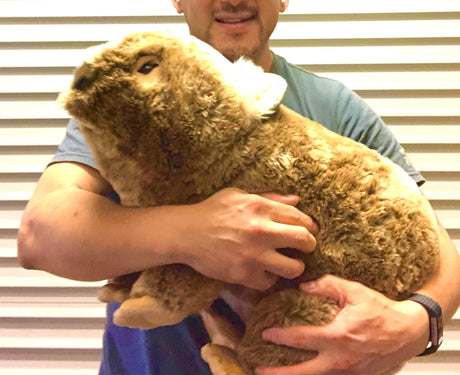 Bocchetta Weighted/ Pressure Weighted Wombat Extra Large 5kg