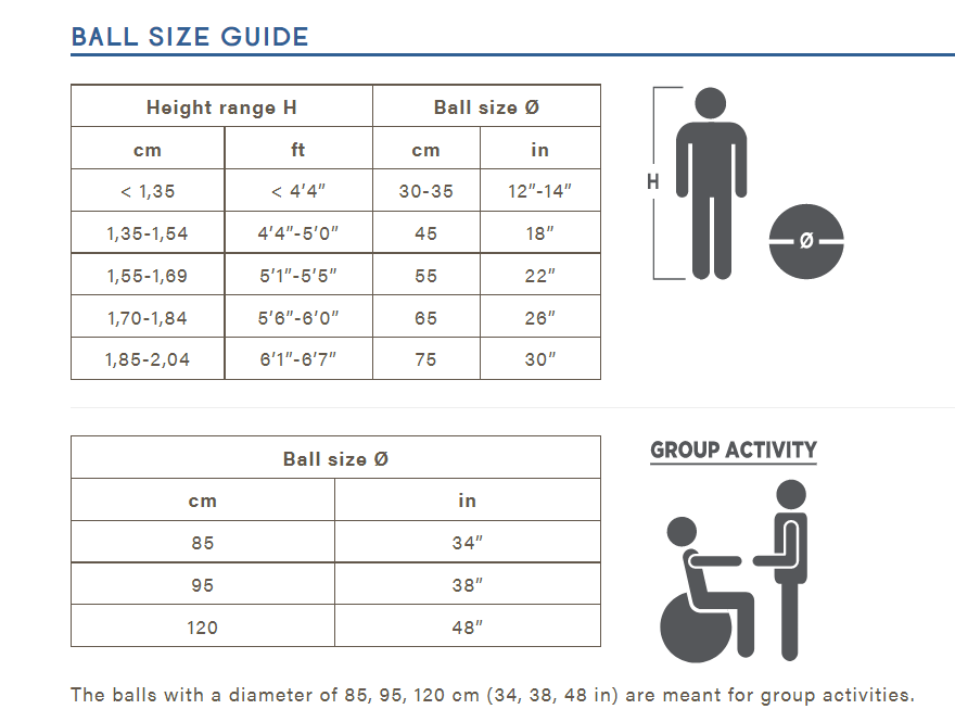 Gymnic Gross Motor Physio Balls