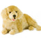 Weighted Dog (Golden Retriever 2kg) - Sensory Corner
