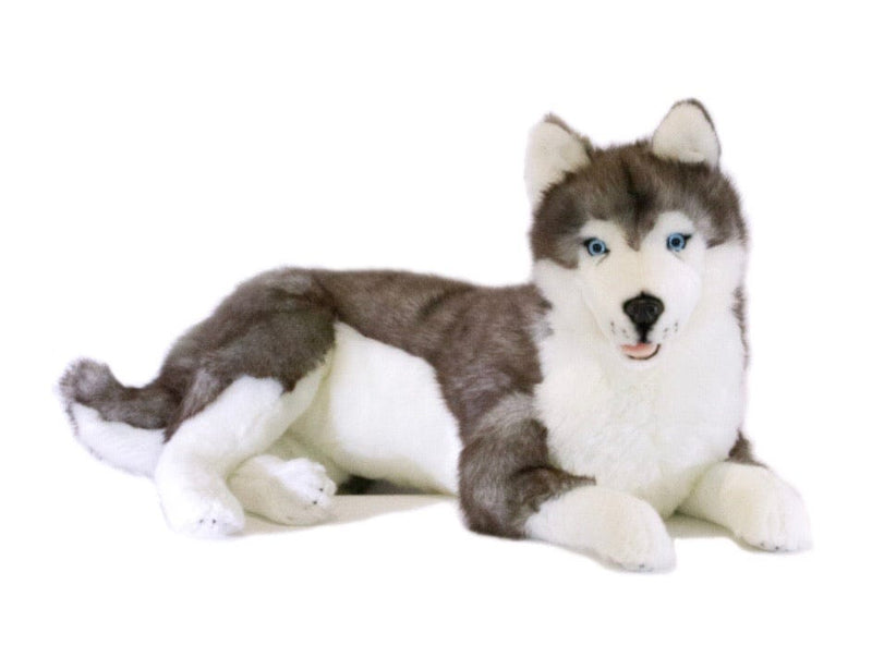 Weighted Dog (Husky 4kg) - Sensory Corner