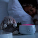 Little Bird Brands Sound Dreamcenter