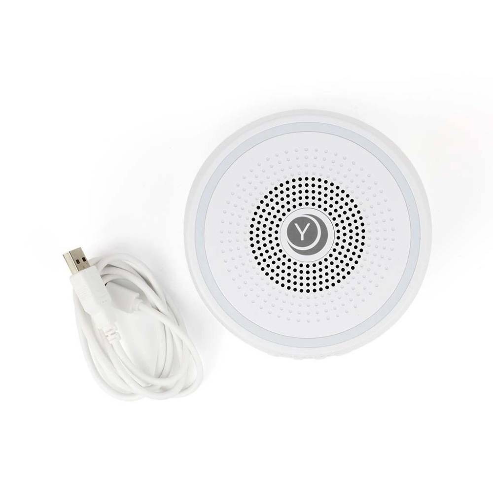 Little Bird Brands Sound Dreamcenter