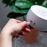 Little Bird Brands Sound Dreamcenter