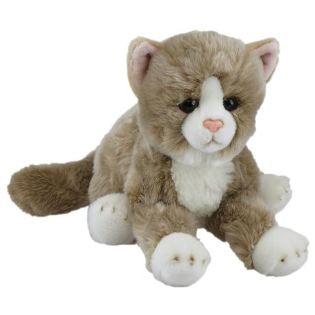 Sensory Corner Sensory Packages Cat Beige Sensory Calming Kit