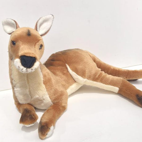 Sensory Corner Sensory Packages Sensory Calming Kit