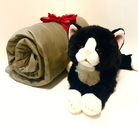 Sensory Corner Sensory Packages Weighted Blanket Buddy Set